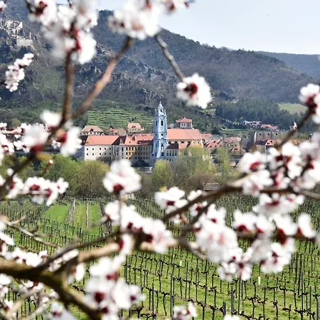 Smile Zum Goldenen Hirschen Lägenhet *